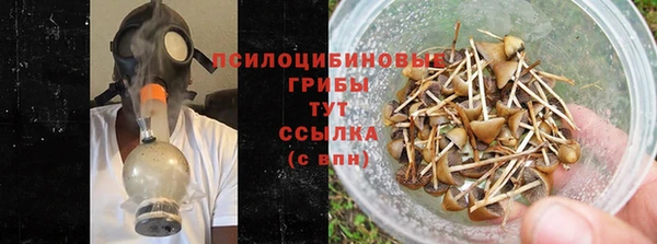 первитин Горнозаводск
