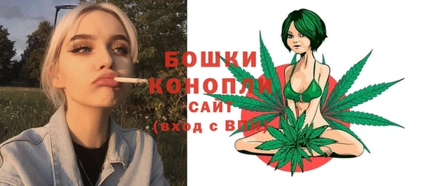первитин Горнозаводск